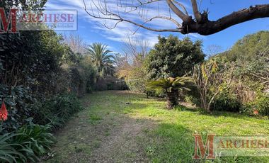 Terreno de 513m2 en venta en Ituzaingó Norte Centro