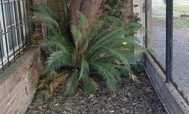 CHALET EN PH A MTS DE BYNNON Y A 3 CUADRAS DE LA ESTACION DE MARMOL