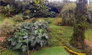 Casa en Arriendo Medellín Poblado