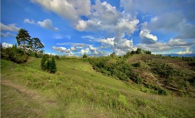 Venta Lote Industrial Guarne Para Bodega Autopista Medellin Bogota