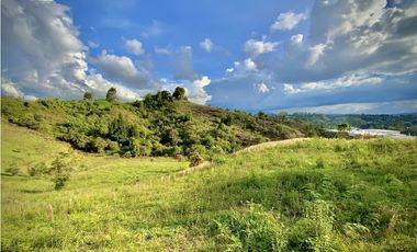 Venta Lote Industrial Guarne Para Bodega Autopista Medellin Bogota