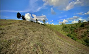 Venta Lote Industrial Guarne Para Bodega Autopista Medellin Bogota
