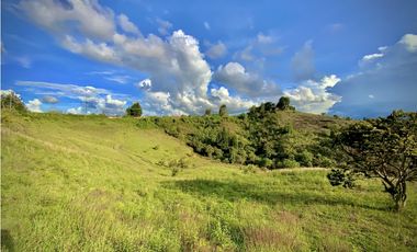Venta Lote Industrial Guarne Para Bodega Autopista Medellin Bogota