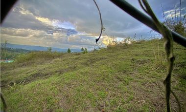 Venta Lote Industrial Guarne Para Bodega Autopista Medellin Bogota