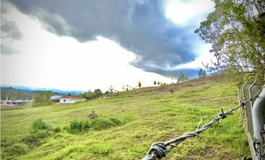 Venta Lote Industrial Guarne Para Bodega Autopista Medellin Bogota