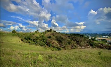 Venta Lote Industrial Guarne Para Bodega Autopista Medellin Bogota