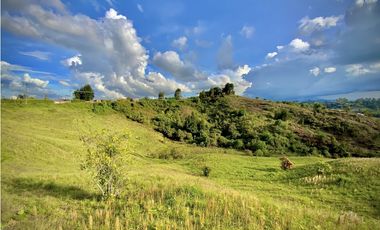 Venta Lote Industrial Guarne Para Bodega Autopista Medellin Bogota