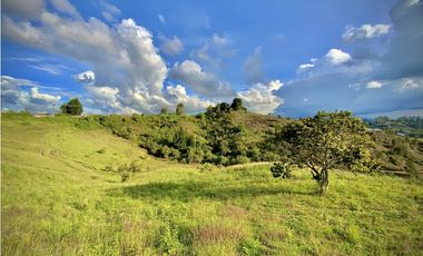 Venta Lote Industrial Guarne Para Bodega Autopista Medellin Bogota