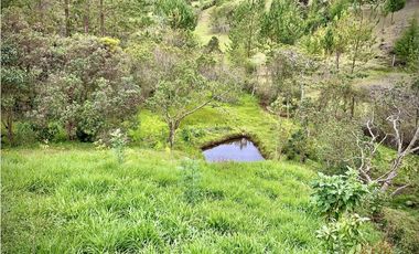 Venta hermoso Lote Lago 100% Aprovechable Vista Parcelacion El Retiro