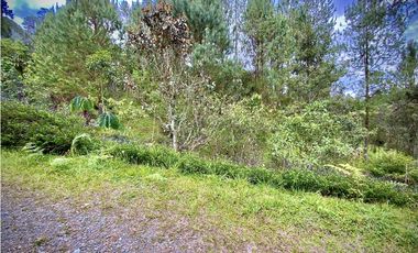 Venta hermoso Lote Lago 100% Aprovechable Vista Parcelacion El Retiro