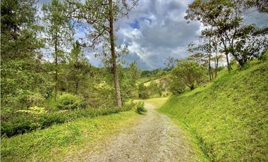 Venta hermoso Lote Lago 100% Aprovechable Vista Parcelacion El Retiro