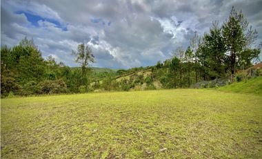 Venta hermoso Lote Lago 100% Aprovechable Vista Parcelacion El Retiro