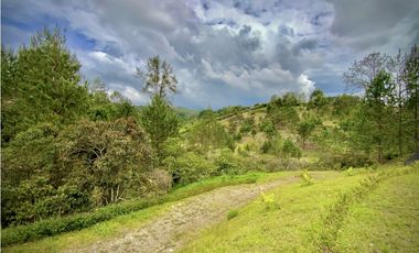 Venta hermoso Lote Lago 100% Aprovechable Vista Parcelacion El Retiro