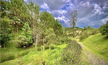 Venta hermoso Lote Lago 100% Aprovechable Vista Parcelacion El Retiro