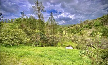 Venta hermoso Lote Lago 100% Aprovechable Vista Parcelacion El Retiro