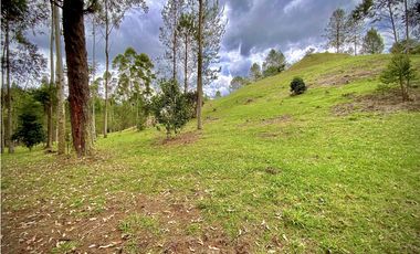 Venta Espectacular Lote Vista Verde y Privacidad Parcelacion El Retiro