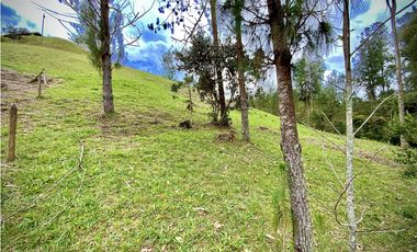 Venta Espectacular Lote Vista Verde y Privacidad Parcelacion El Retiro