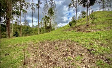 Venta Espectacular Lote Vista Verde y Privacidad Parcelacion El Retiro