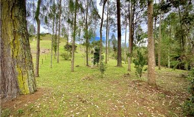 Venta Espectacular Lote Vista Verde y Privacidad Parcelacion El Retiro