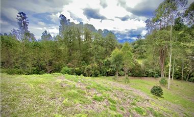 Venta Espectacular Lote Vista Verde y Privacidad Parcelacion El Retiro