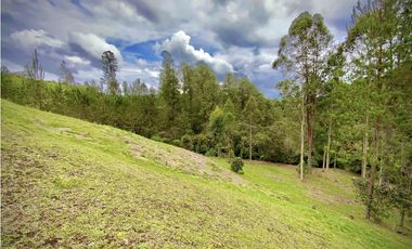 Venta Espectacular Lote Vista Verde y Privacidad Parcelacion El Retiro