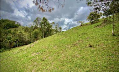 Venta Espectacular Lote Vista Verde y Privacidad Parcelacion El Retiro