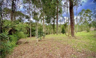 Venta Espectacular Lote Vista Verde y Privacidad Parcelacion El Retiro