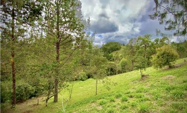 Venta Espectacular Lote Vista Verde y Privacidad Parcelacion El Retiro