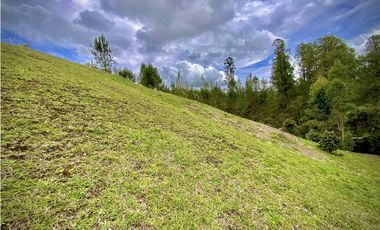 Venta Espectacular Lote Vista Verde y Privacidad Parcelacion El Retiro