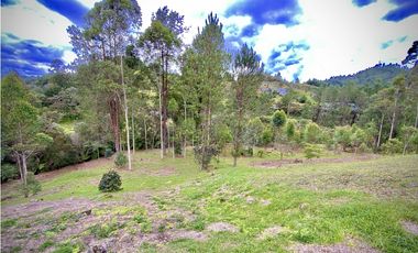 Venta Espectacular Lote Vista Verde y Privacidad Parcelacion El Retiro