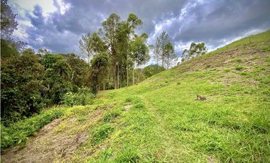 Venta Espectacular Lote Vista Verde y Privacidad Parcelacion El Retiro