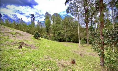 Venta Espectacular Lote Vista Verde y Privacidad Parcelacion El Retiro