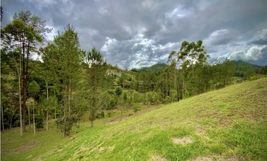 Venta Espectacular Lote Vista Verde y Privacidad Parcelacion El Retiro