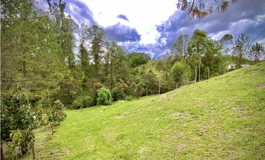 Venta Espectacular Lote Vista Verde y Privacidad Parcelacion El Retiro