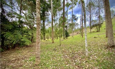 Venta Espectacular Lote Vista Verde y Privacidad Parcelacion El Retiro