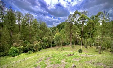 Venta Espectacular Lote Vista Verde y Privacidad Parcelacion El Retiro