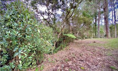 Venta Espectacular Lote Vista Verde y Privacidad Parcelacion El Retiro