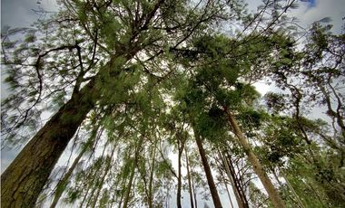 Venta Espectacular Lote Vista Verde y Privacidad Parcelacion El Retiro