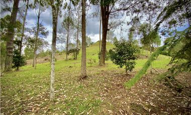 Venta Espectacular Lote Vista Verde y Privacidad Parcelacion El Retiro