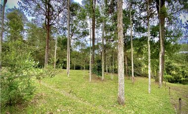 Venta Espectacular Lote Vista Verde y Privacidad Parcelacion El Retiro