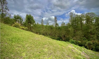 Venta Espectacular Lote Vista Verde y Privacidad Parcelacion El Retiro