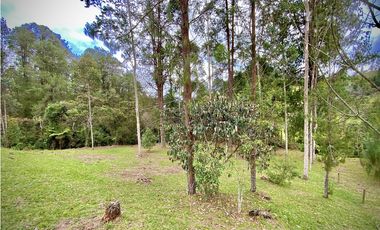 Venta Espectacular Lote Vista Verde y Privacidad Parcelacion El Retiro