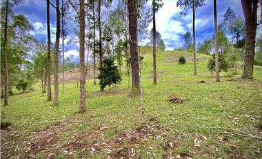 Venta Espectacular Lote Vista Verde y Privacidad Parcelacion El Retiro