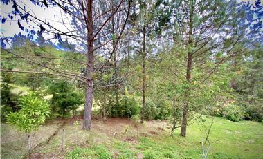 Venta Espectacular Lote Vista Verde y Privacidad Parcelacion El Retiro