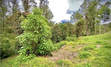 Venta Espectacular Lote Vista Verde y Privacidad Parcelacion El Retiro