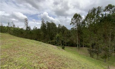 Venta Espectacular Lote Vista Verde y Privacidad Parcelacion El Retiro