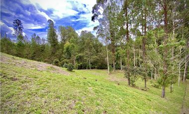 Venta Espectacular Lote Vista Verde y Privacidad Parcelacion El Retiro