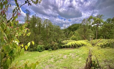 Venta Espectacular Lote Vista Verde y Privacidad Parcelacion El Retiro