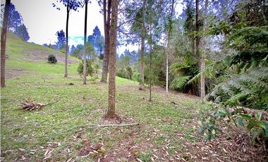 Venta Espectacular Lote Vista Verde y Privacidad Parcelacion El Retiro