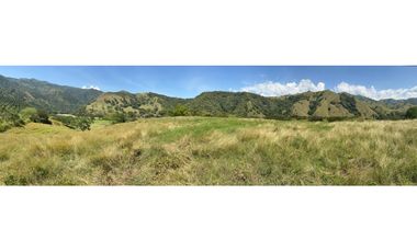 VENTA FINCA, BETULIA SUROESTE ANTIOQUEÑO